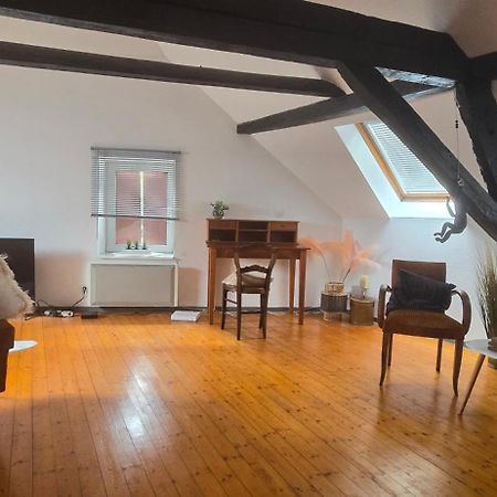 Appartamento Loft Gaia Brunstatt-Didenheim Esterno foto