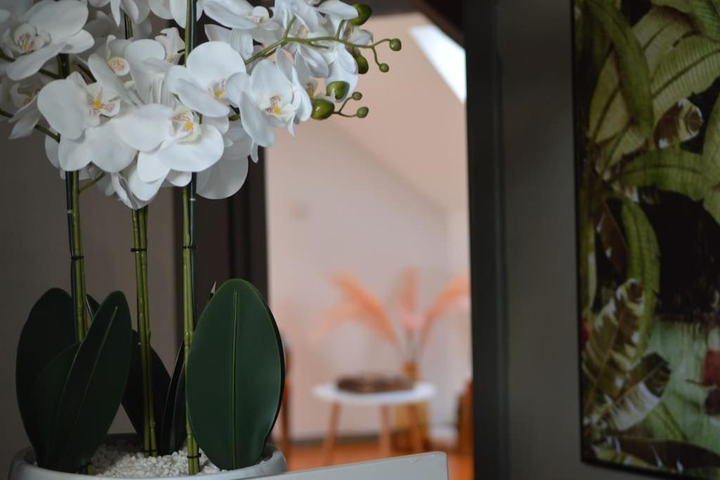 Appartamento Loft Gaia Brunstatt-Didenheim Esterno foto